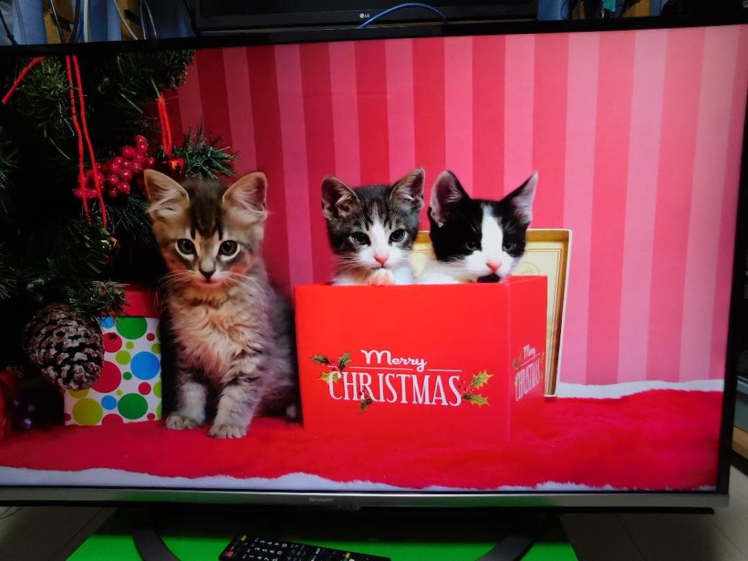 SHARP AQUOS 45型4Kテレビ LC-40US45　画面キズなしの美品