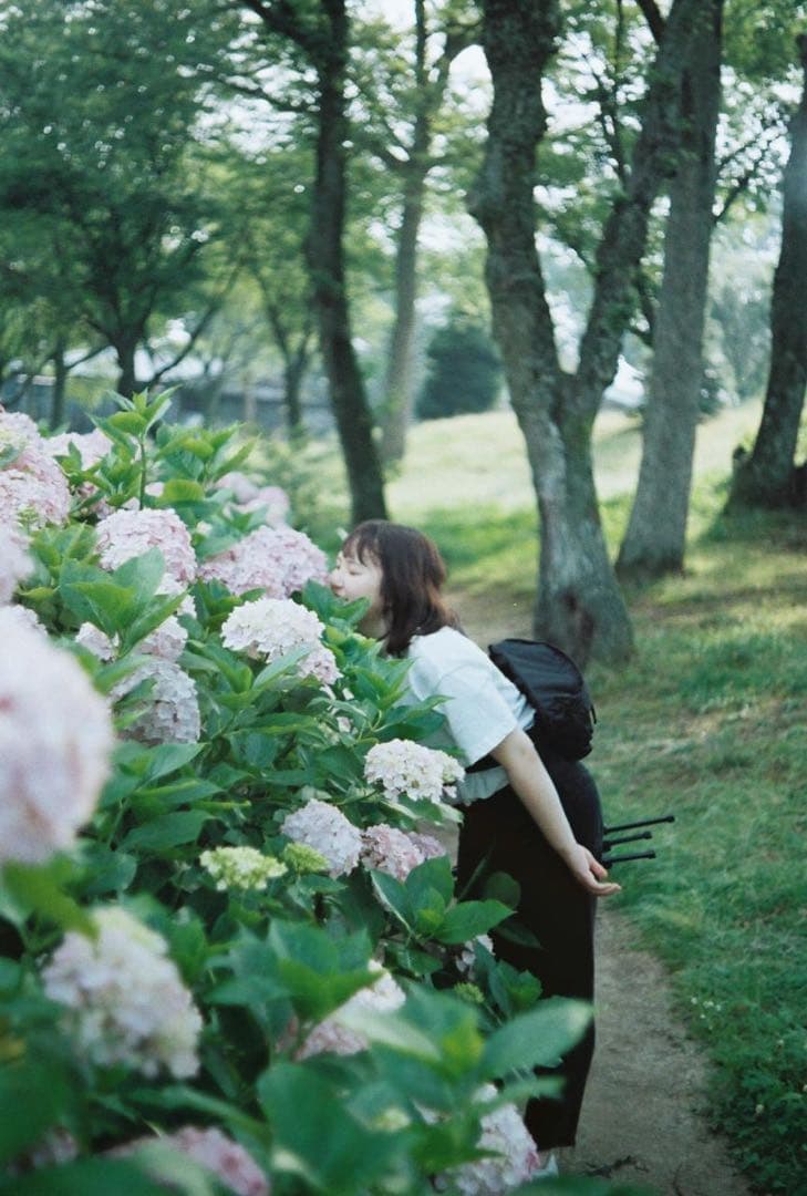 OLYMPUS PEN F PEN-FT フィルムカメラ