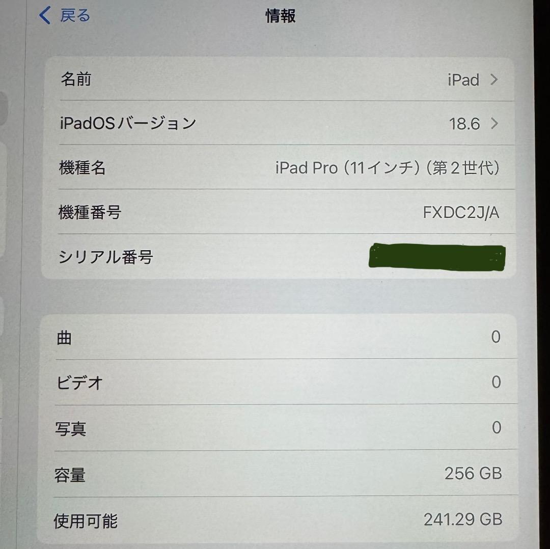 【訳あり】iPad Pro 11インチ 第2世代 Wi-Fi 256GB グレー