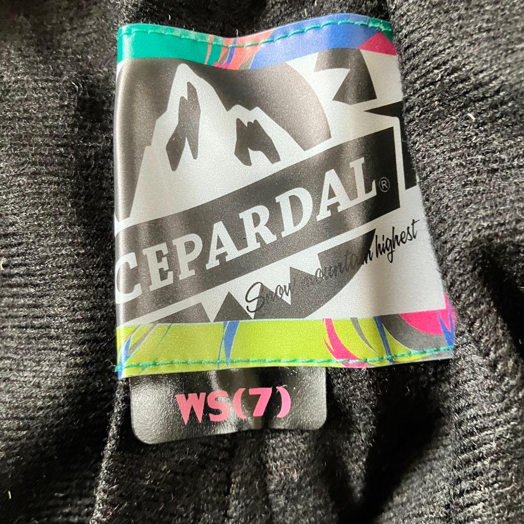 #W9✨ICEPARDAL✨スキー スノボ ウェア 上下 レディースM