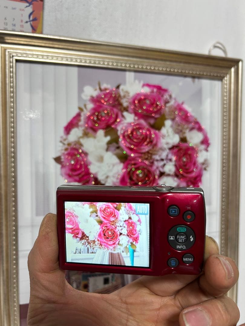 デジタルカメラ Canon IXY 180 PC2275