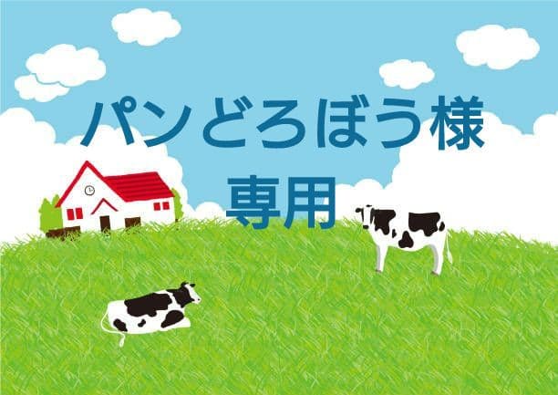 専用　パンどろぼう様