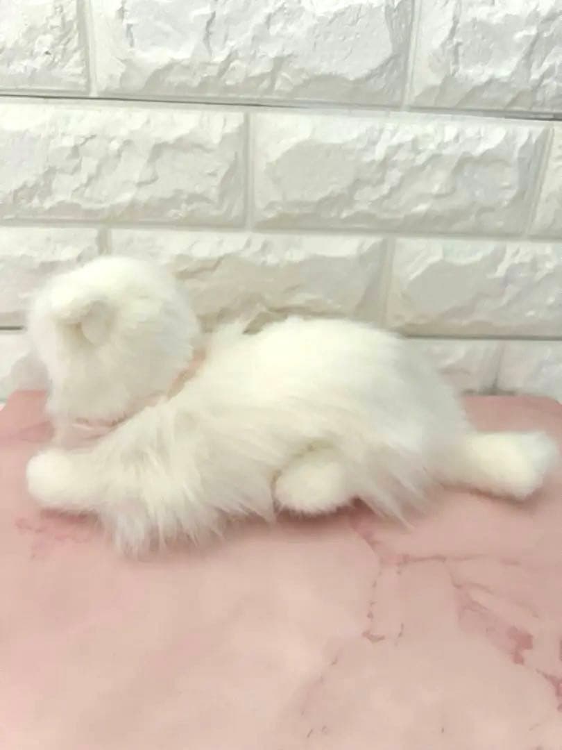 ねこ　ぬいぐるみ　タグ付き　四季オリジナルぬいぐるみ　日本製　ペルシャネコ　猫