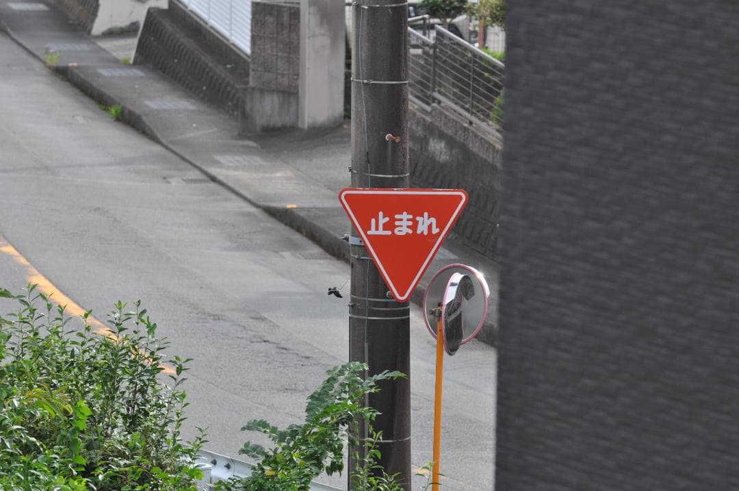 ニコン Nikon AF-S Nikkor 70-200mm F2.8G ED