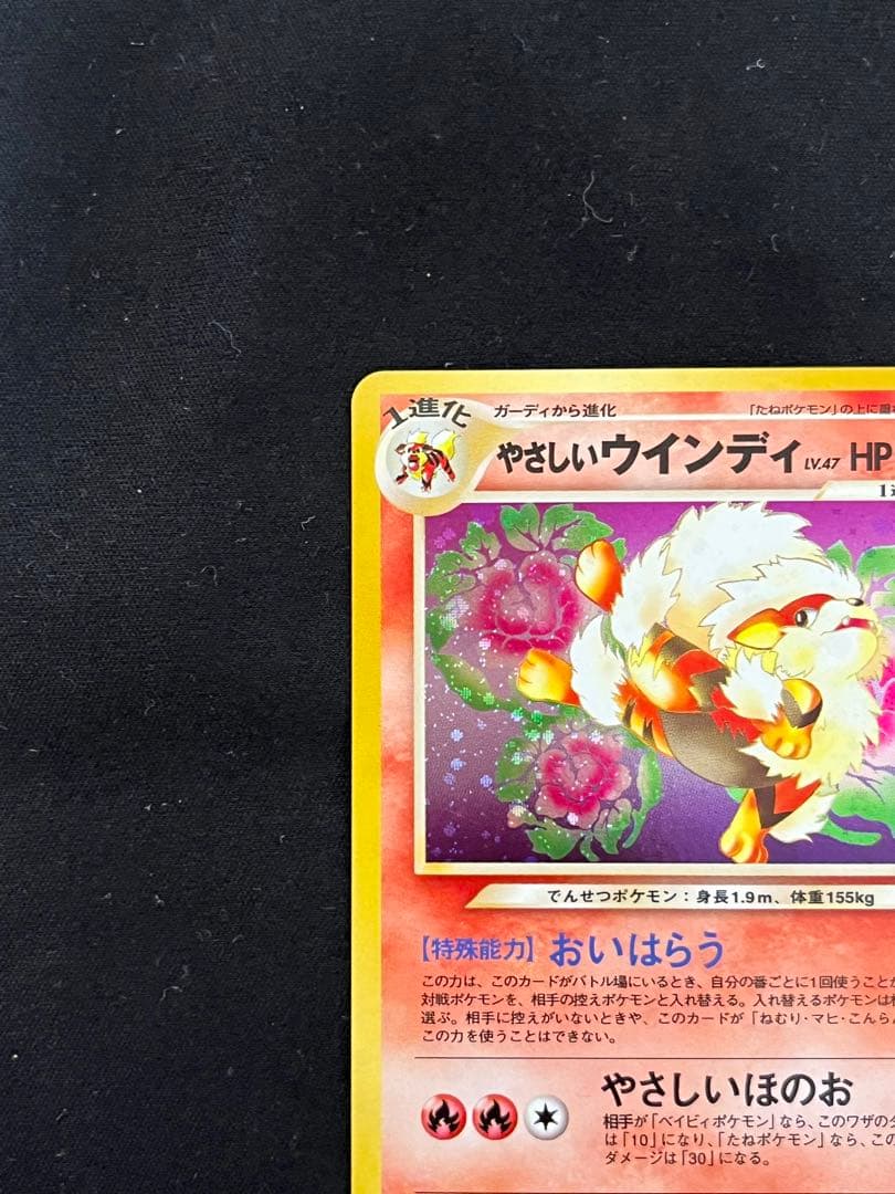 ソ*ウ様 やさしいウィンディ 旧裏