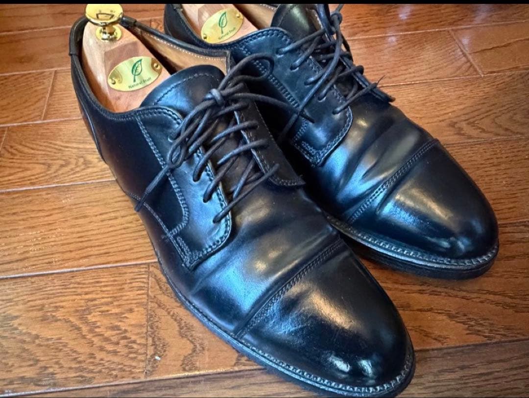 最終値下げ　Alden2161 US8