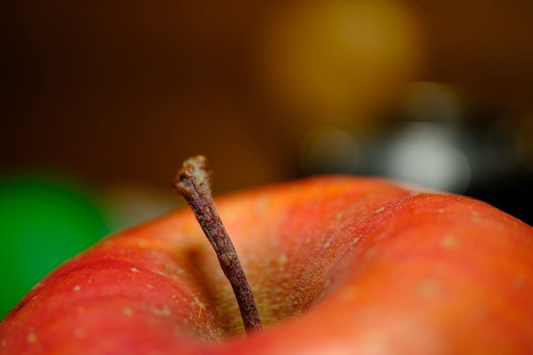 マクロ Zeiss Touit 2.8/50M 単焦点レンズ（Xマウント）