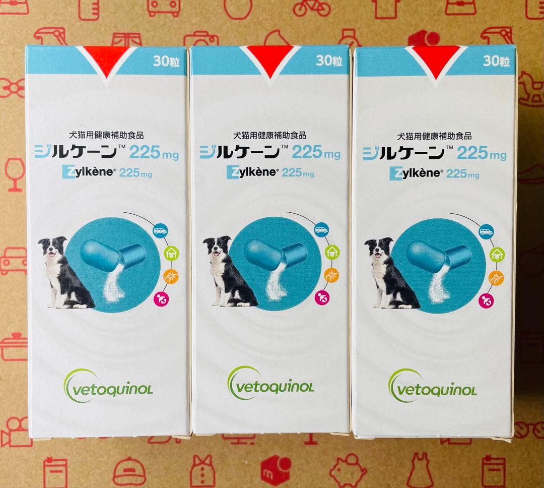 ジルケーン 225mg 30粒×3箱【賞味期限: 2026.10.03】