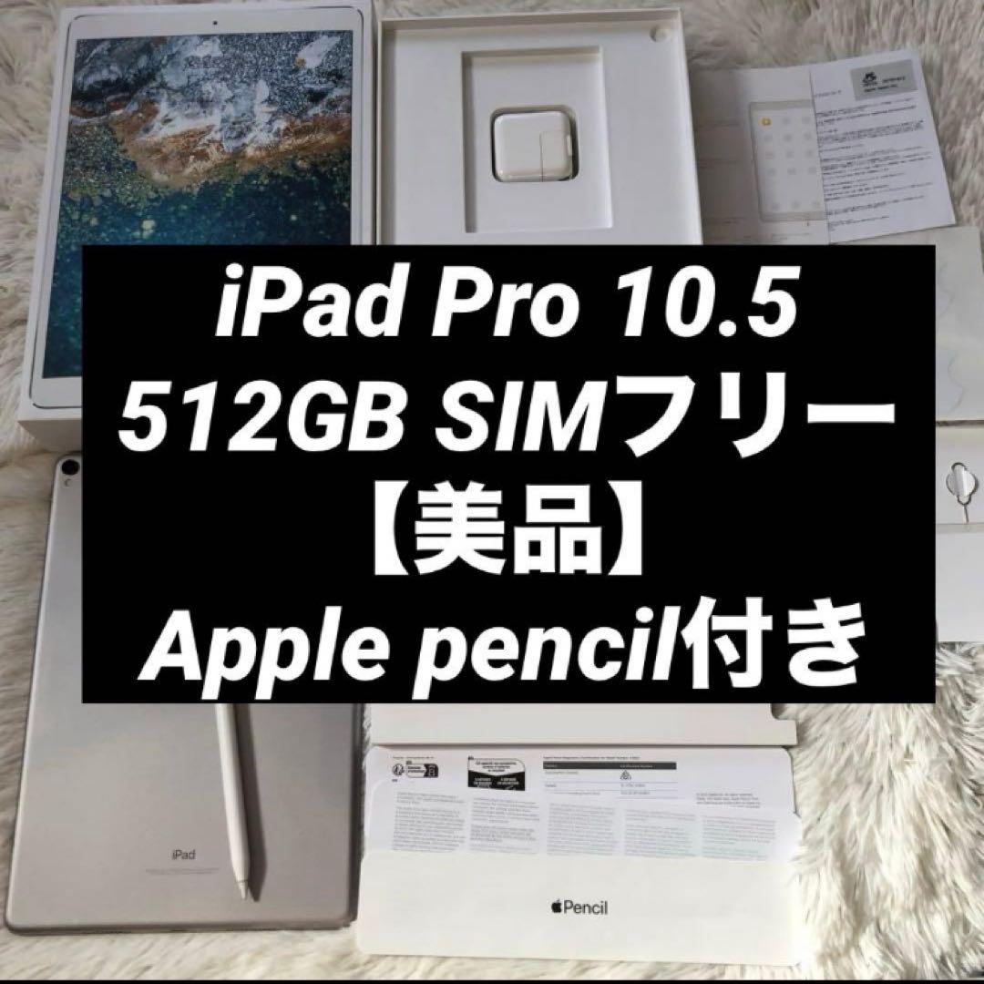 【早い者勝ち】iPad Pro 10.5 512GB 付属品多数！ 【すぐ発送】