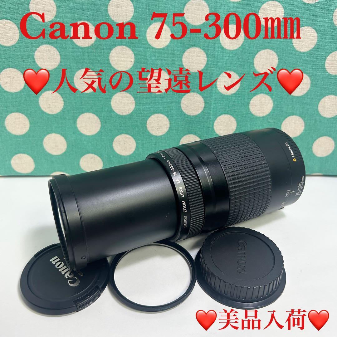 02❤️美品入荷❤️Canon 75-300mm Canon 望遠レンズ