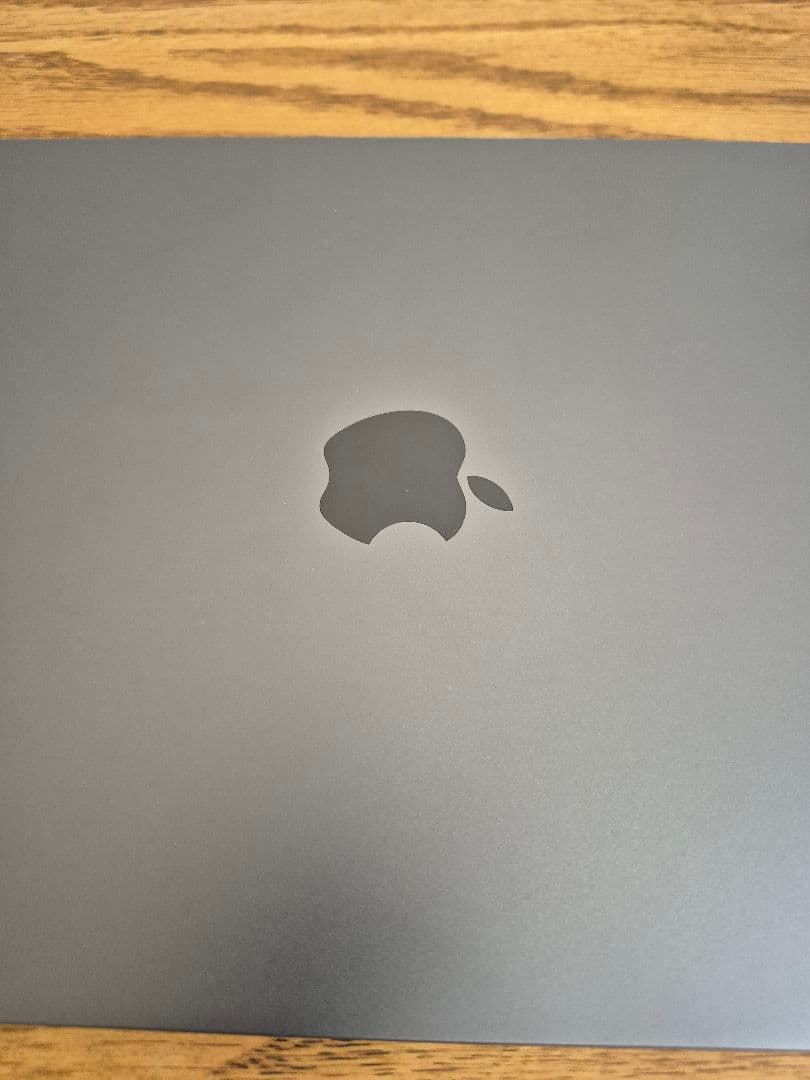 iPad Pro 11インチ (第3世代) 256GB MHQU3J/A