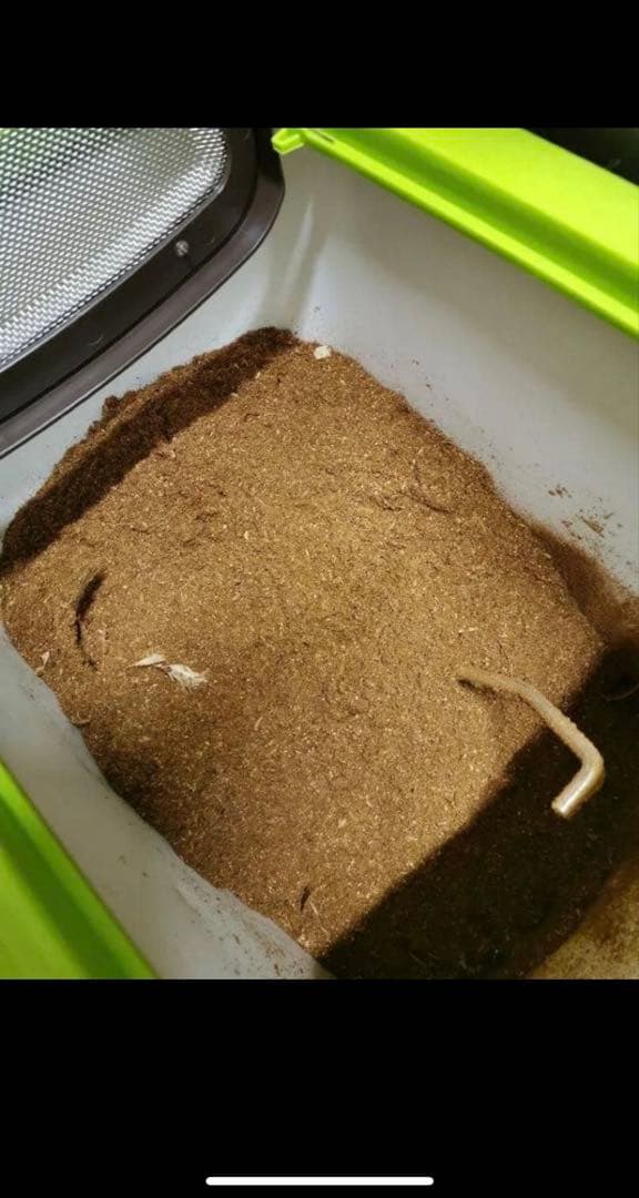 自然にカエル 生ゴミ処理気 エコクリーン ゴミ箱