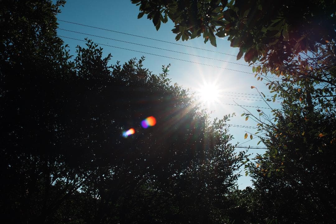 【整備＆テスト済】Nikon Ai Nikkor 35mm F2 ニコン 437