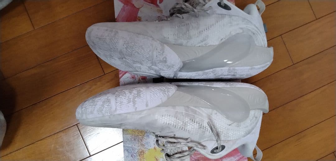 リーニン　シューズ　Dlo1