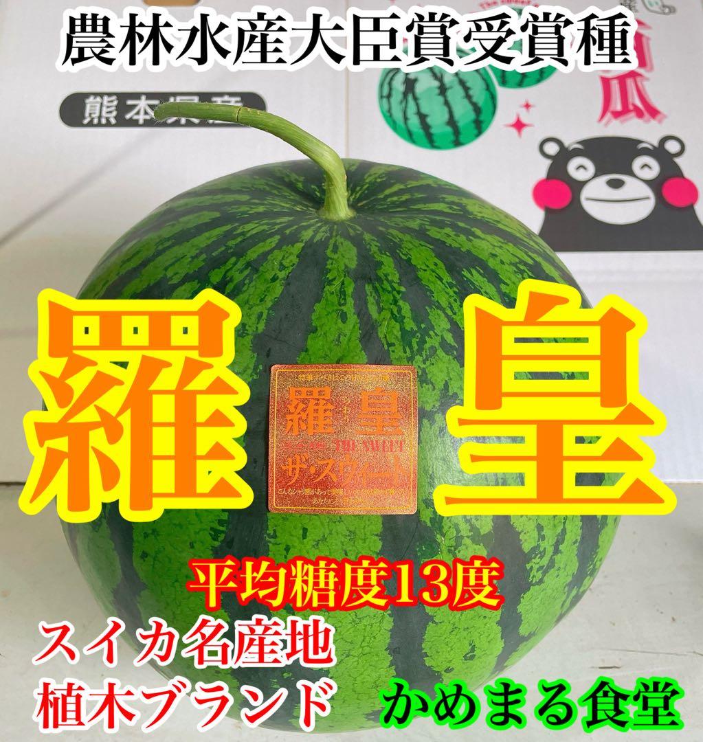 甘くて最高！熊本産秋西瓜 羅皇 2Lサイズ2玉セット(15-17k箱込)