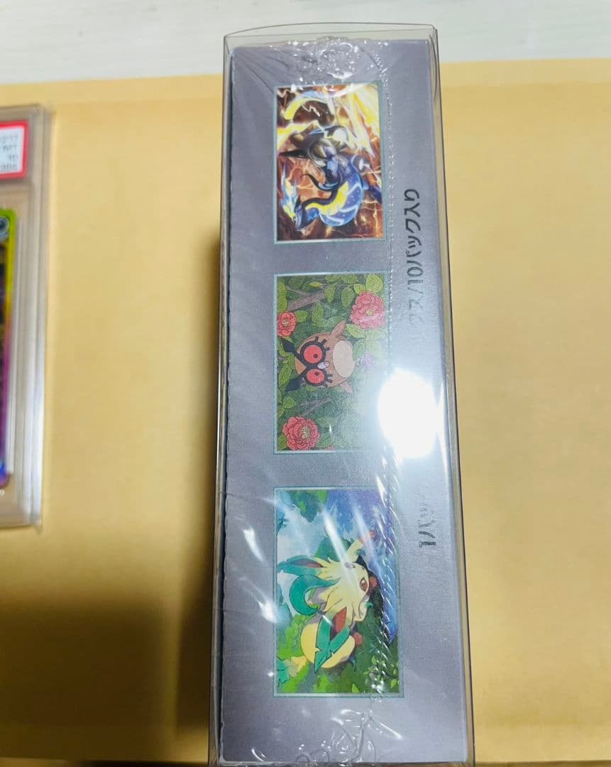 テラスタルフェス1boxシュリンク付き