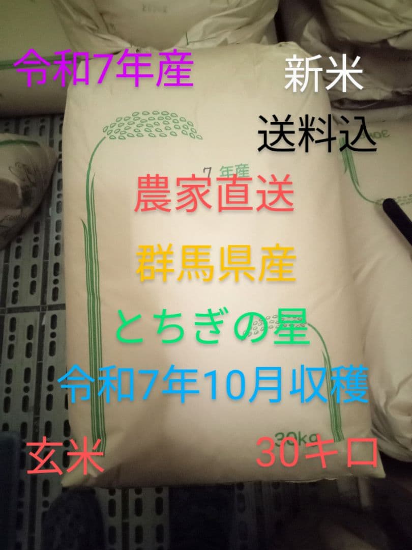 R7年産 新米 群馬県産 とちぎの星 30キロ 玄米 送料込 30kg ②