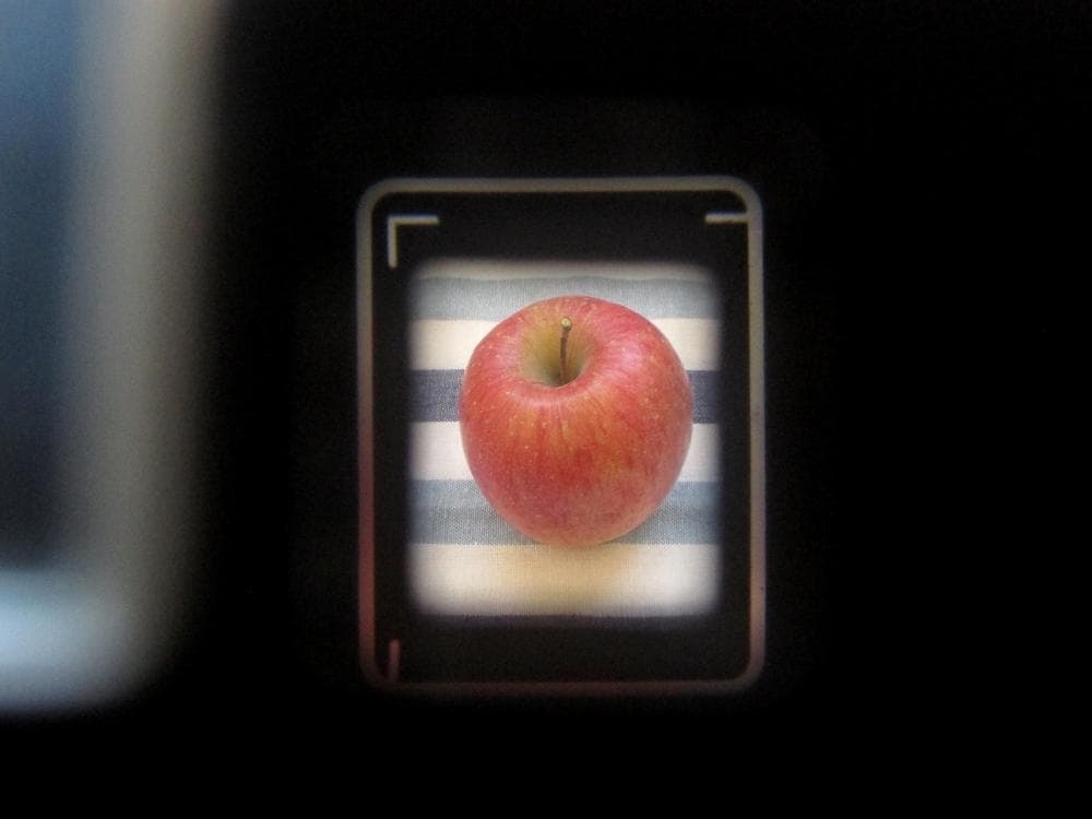 minolta repo ミノルタ レポ 初期型 フィルムカメラ ハーフサイズ