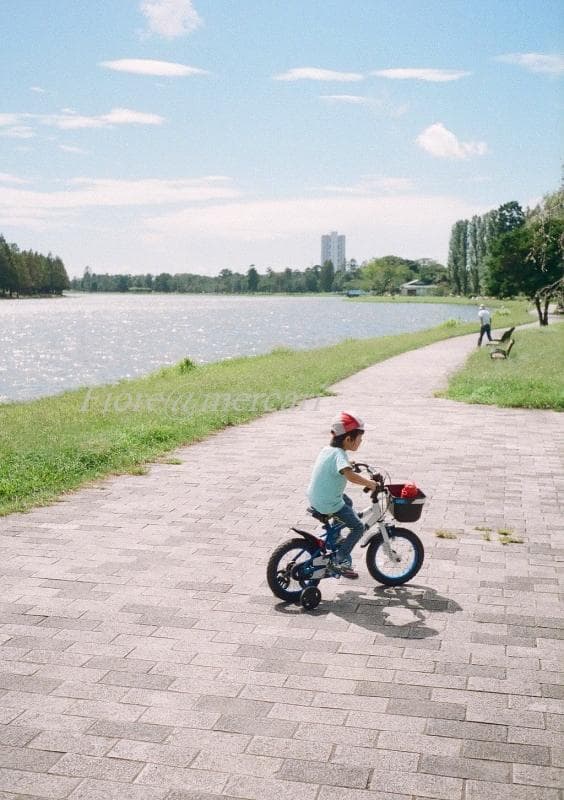 minolta repo ミノルタ レポ 初期型 フィルムカメラ ハーフサイズ