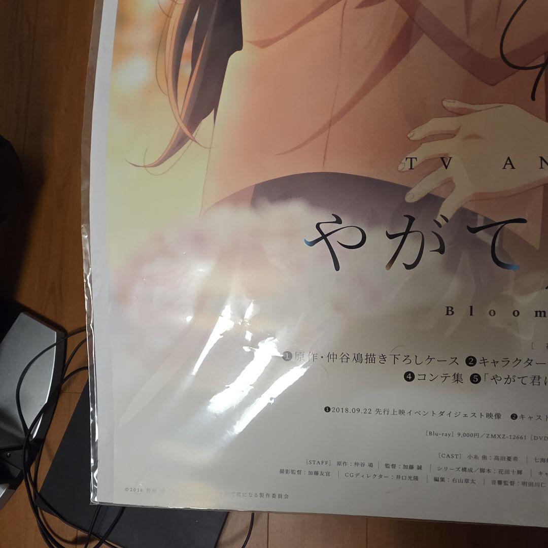 やがて君になる　小糸侑役　高田憂希さんサイン入りポスター