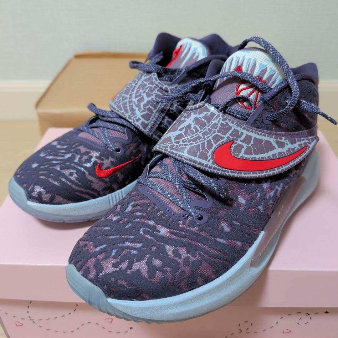 シューズ(男性用) NIKE KD14 NRG EP