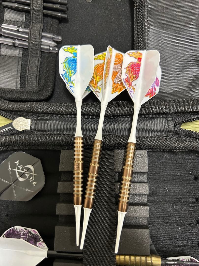 特*)様 ダーツセット　引退品