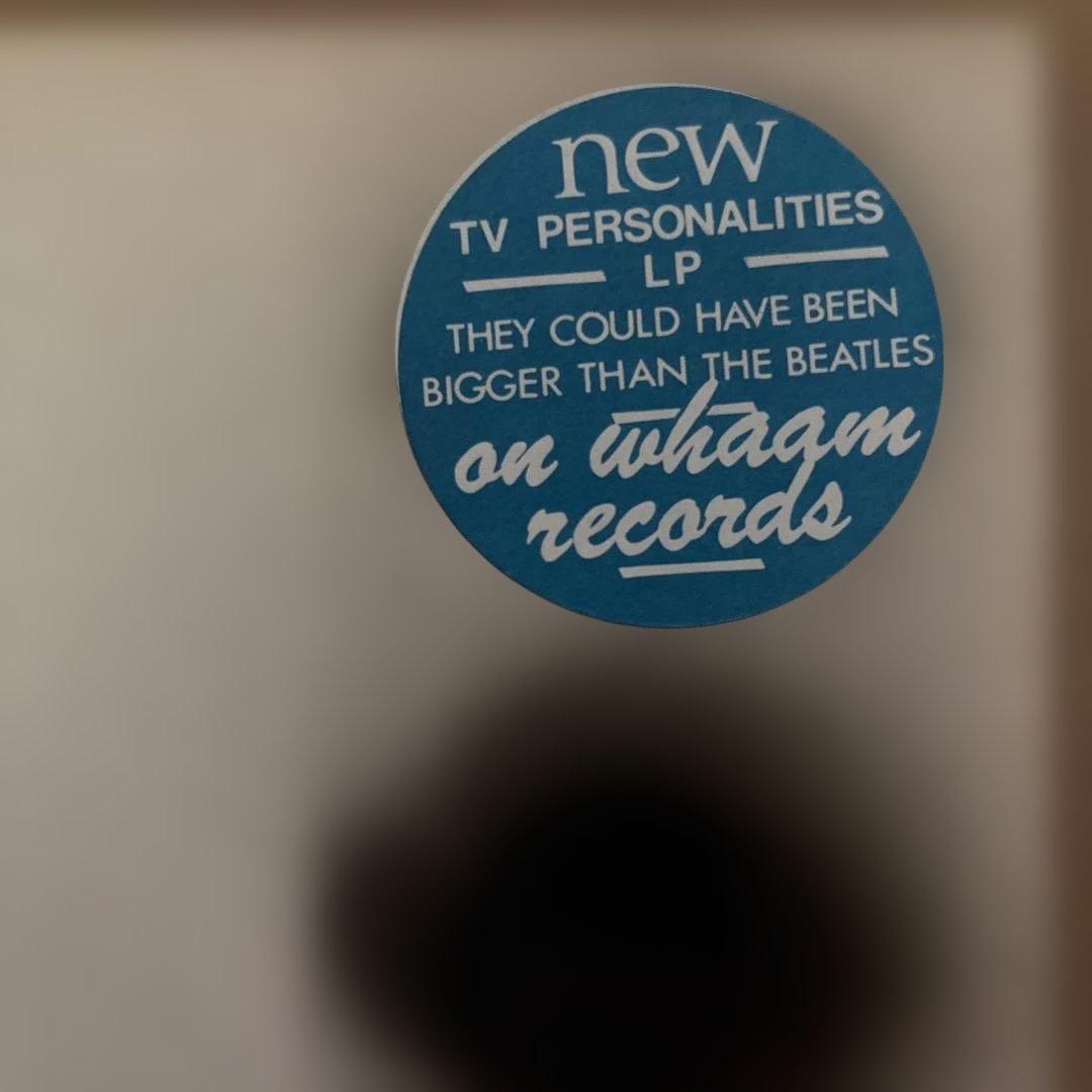 Television Personalities ‎They Could… LP