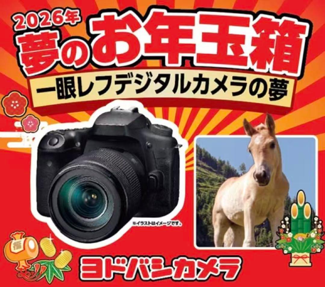 ヨドバシカメラ　一眼レフデジタルカメラの夢　Canon EOS 90D