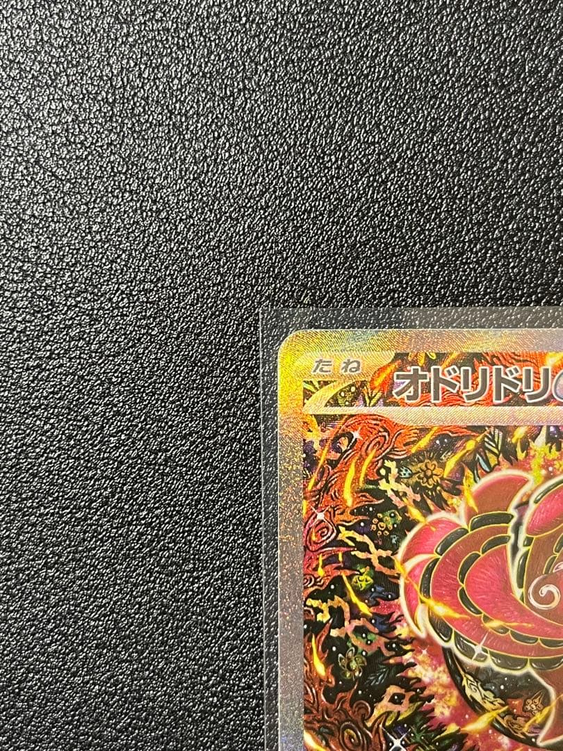 オドリドリEX SAR