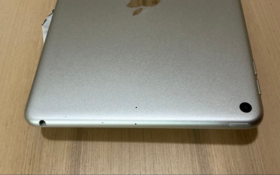 Apple iPad mini 第5世代　256GB本体のみ