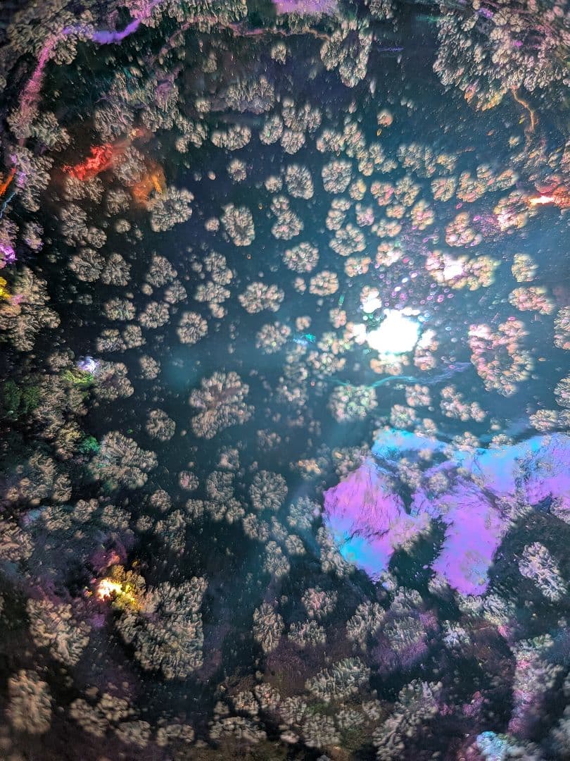 【新品未使用】曜変天目　盃