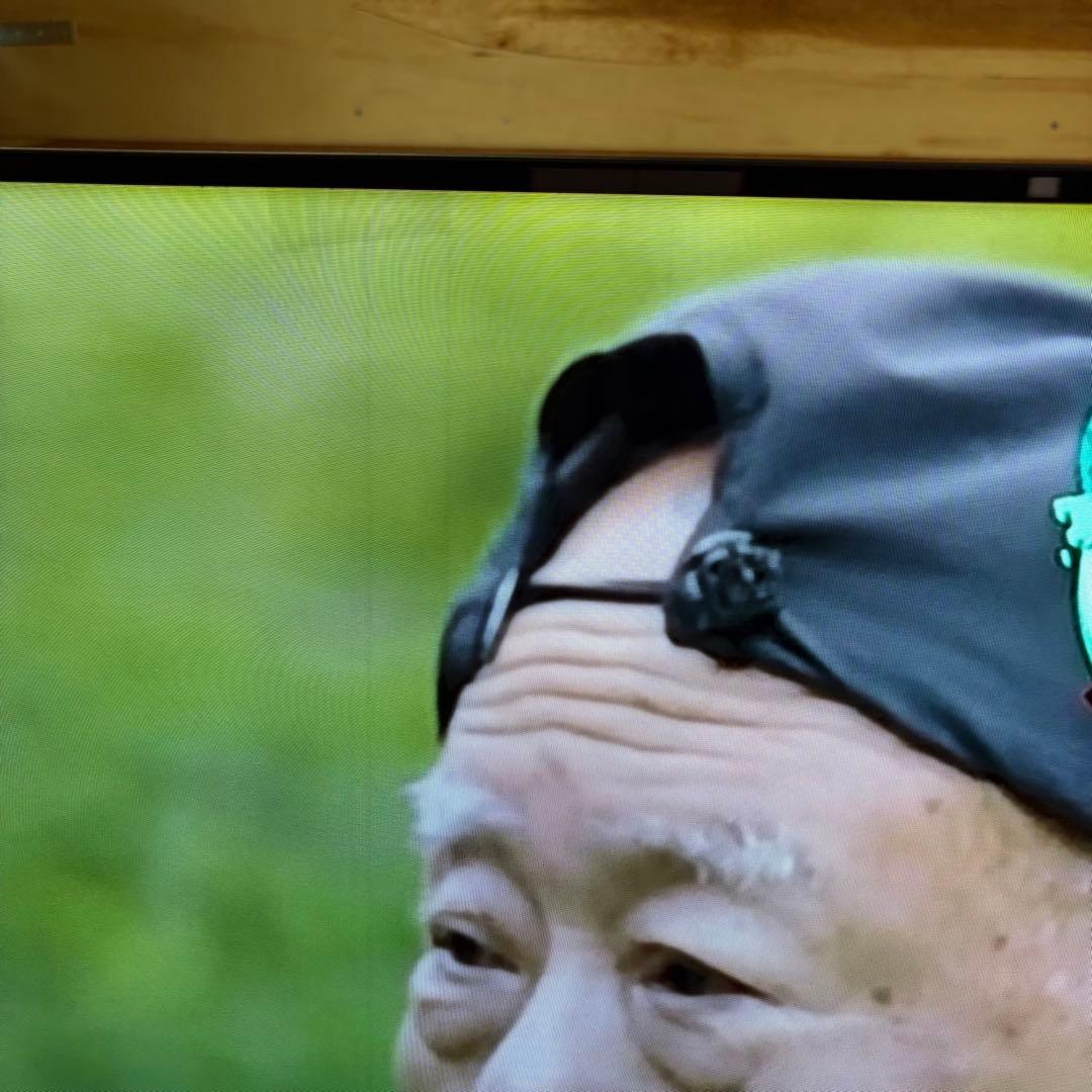 一都三県限定　配送設置無料　4K有機ELテレビ　TOSHIBA 東芝　65インチ