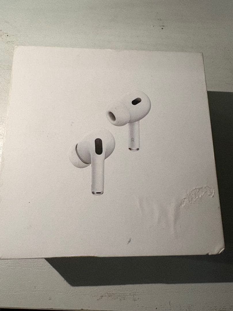 AirPodspro2 ケース 左耳