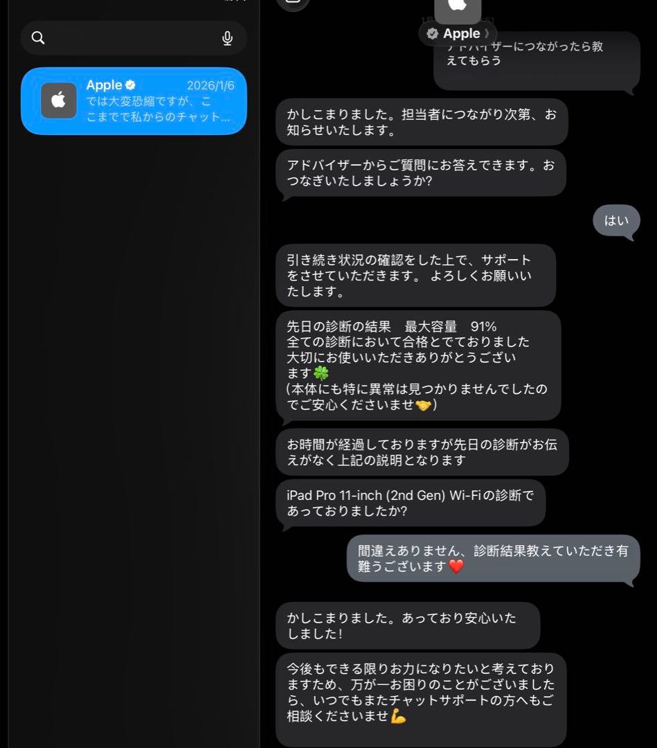 iPad Pro 11インチ　第2世代　256GB本体➕Apple Pencil