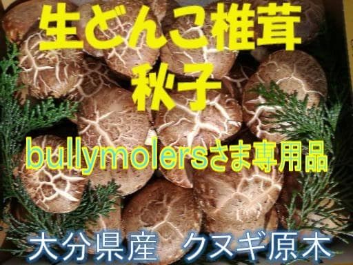 bullymolersさまご予約専用 大分県特産 生どんこ椎茸「秋子」