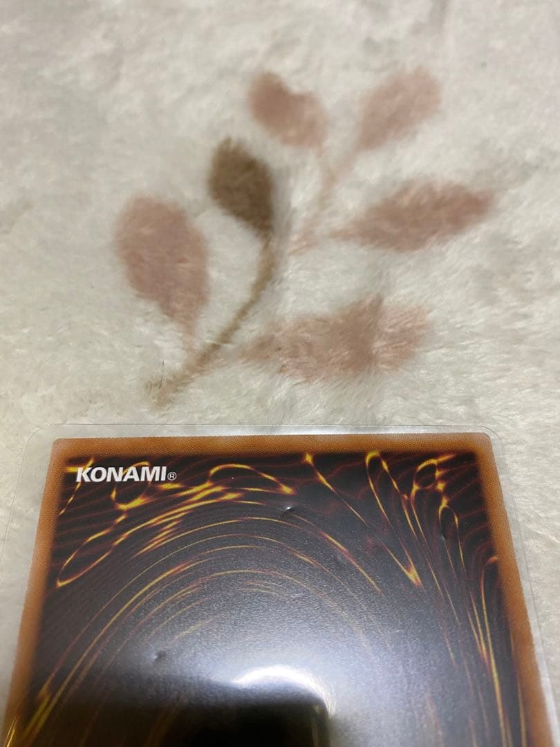 格安】遊戯王 フルールドバロネス 25th シークレット レアコレ