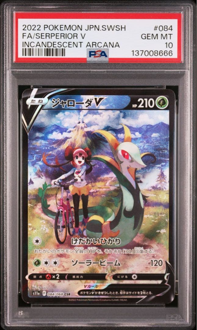 【PSA10】ポケモンカード　ジャローダV CSR 白熱のアルカナ　メイ