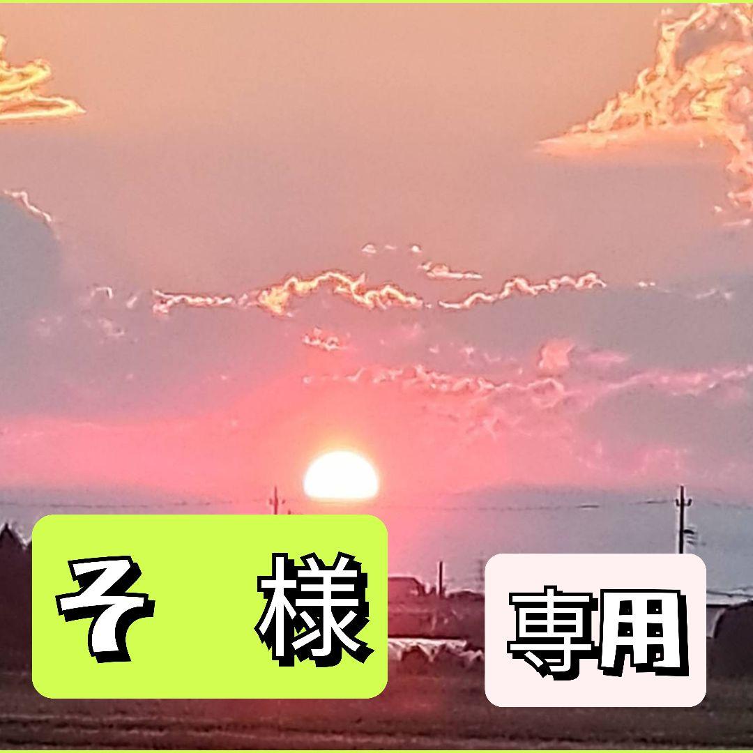 【そ　様】専用　乾燥野菜　＆　乾燥きのこ　ミックス