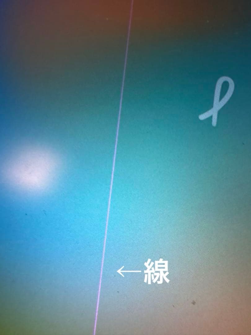 iPad Pro 12.9インチ 【画面難あり】【バッテリー劣化してます】