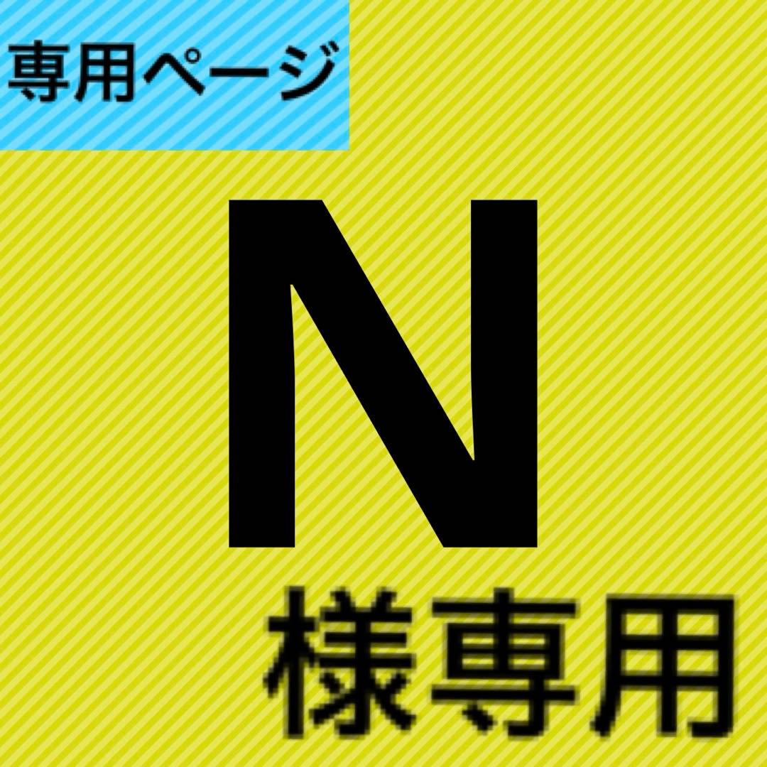 Nページ