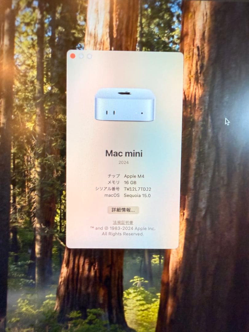 ほぼ新品。美麗Mac mini M4 RAM16/256GBキャリーセット