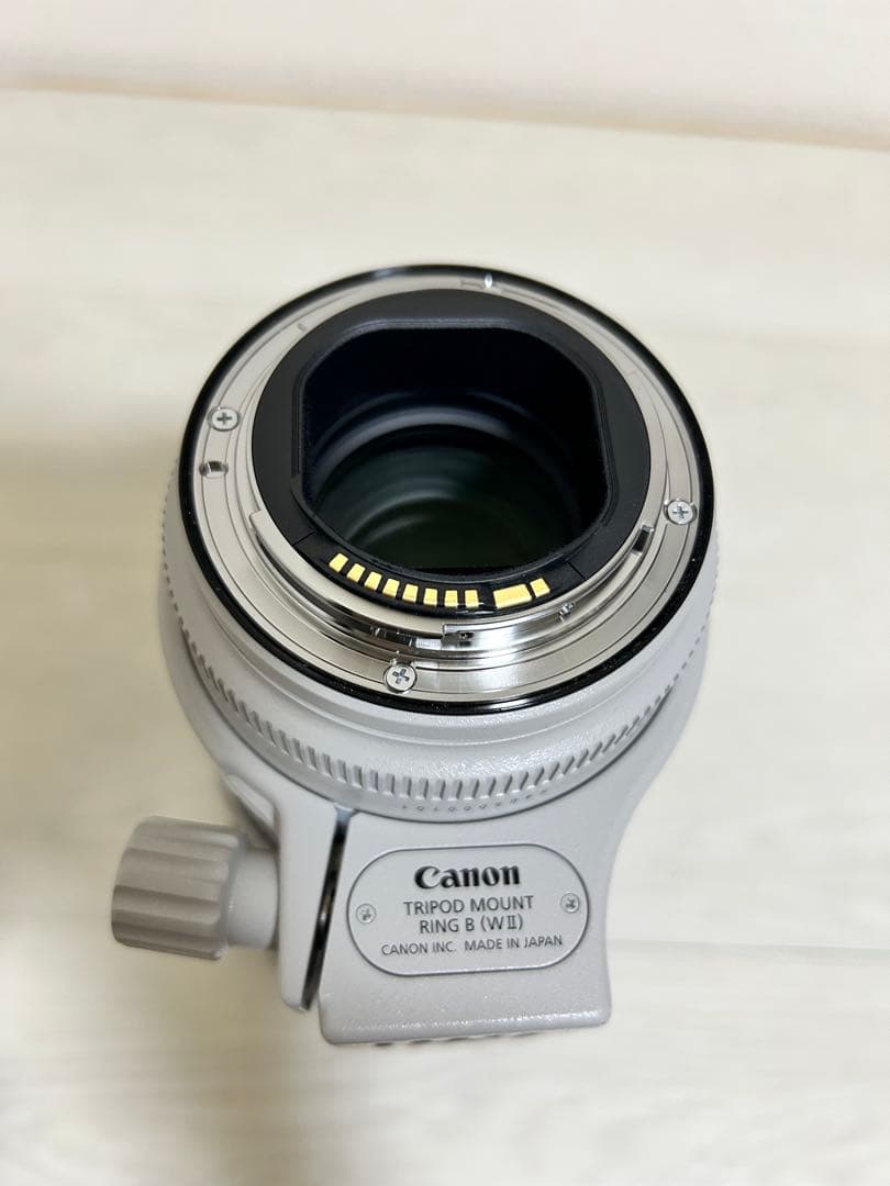 Canon EF70-200mm F2.8 L IS III usm 美品