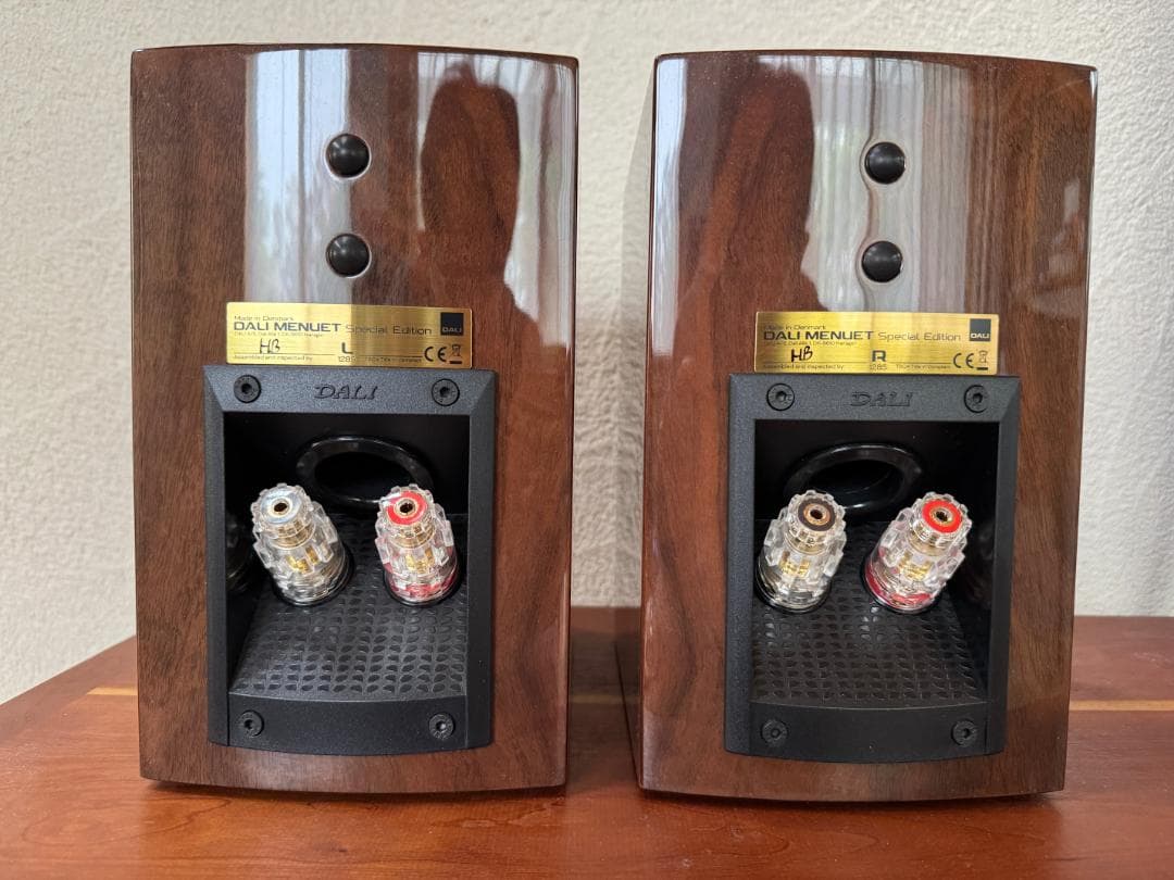 DALI MENEUT SE【玉杢入りの美品】