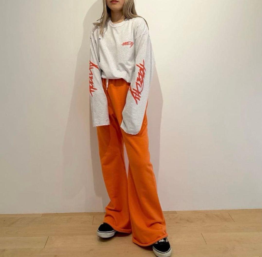 HOLIDAY ホリデイSUPER FINE DRY DAMAGE Tシャツ