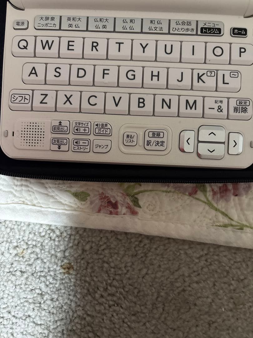 CASIO 電子辞書 EX-wordフランス語DATAPLUS10 ケース付