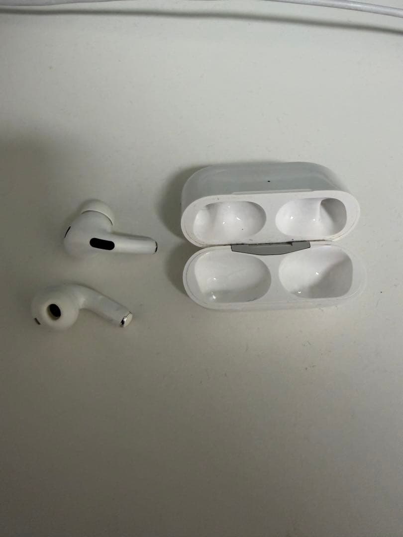 Apple AirPods Pro (第2世代) 本体 Type C