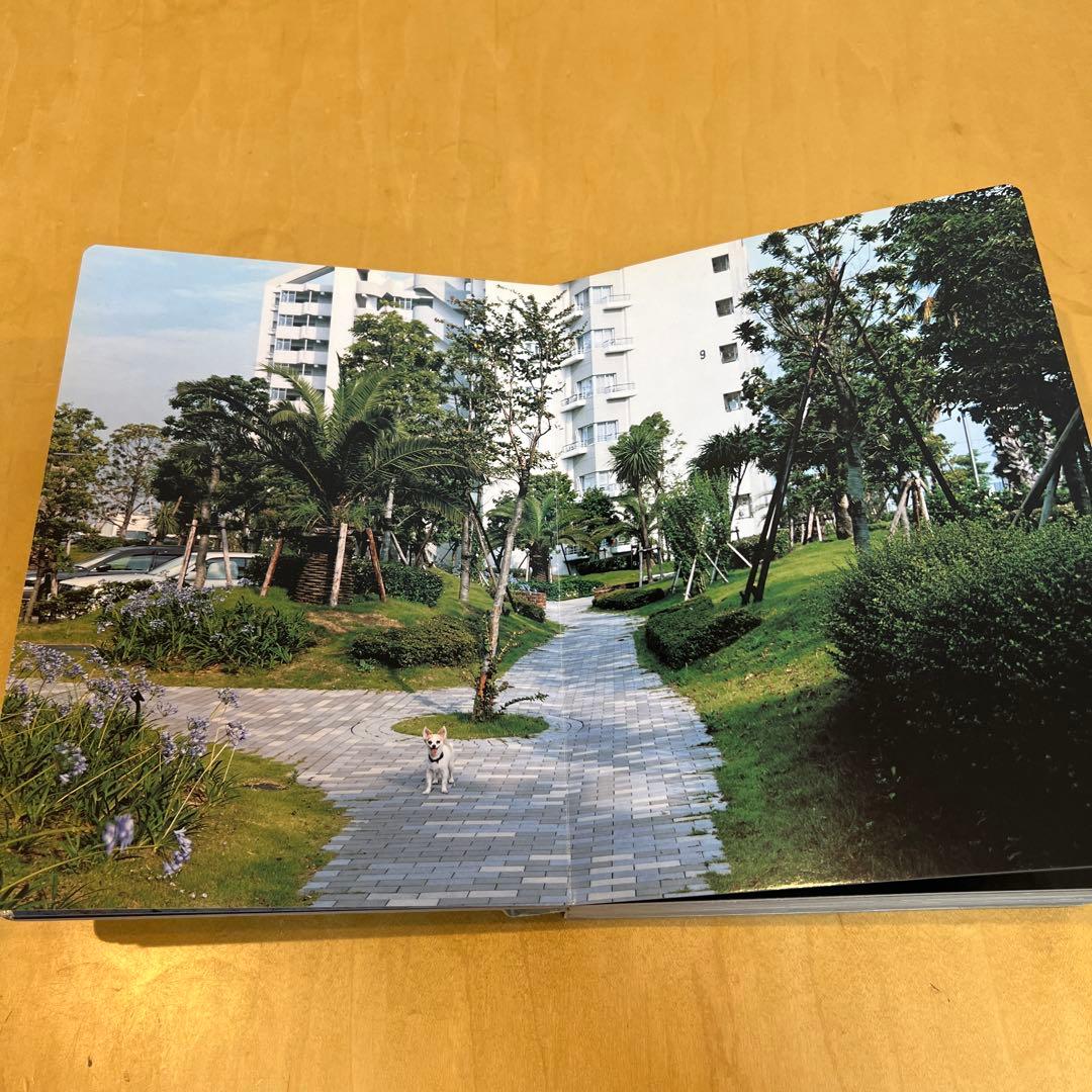 趣味・スポーツ・実用 TOKYO SUBURBIA TAKASHI HOMMA