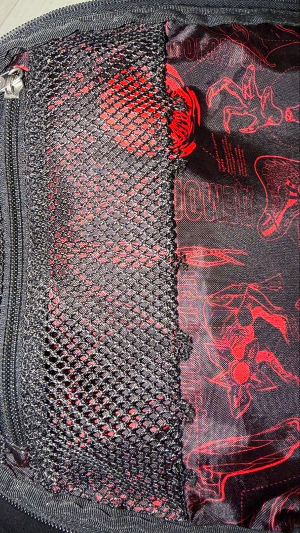 【希少】JanSport × Stranger Things リュック