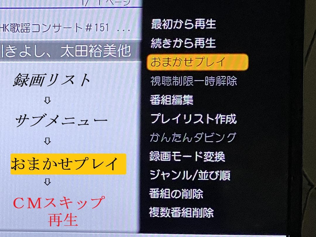 ☆ 東芝 REGZA DBR-Z420「　ＨＤＤ：2ＴＢ」　1-31