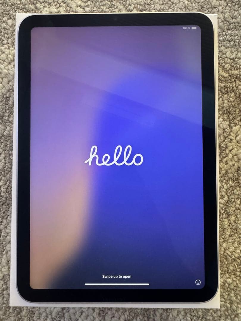 iPad本体 Apple iPad Mini 6 256GB Wi-Fi